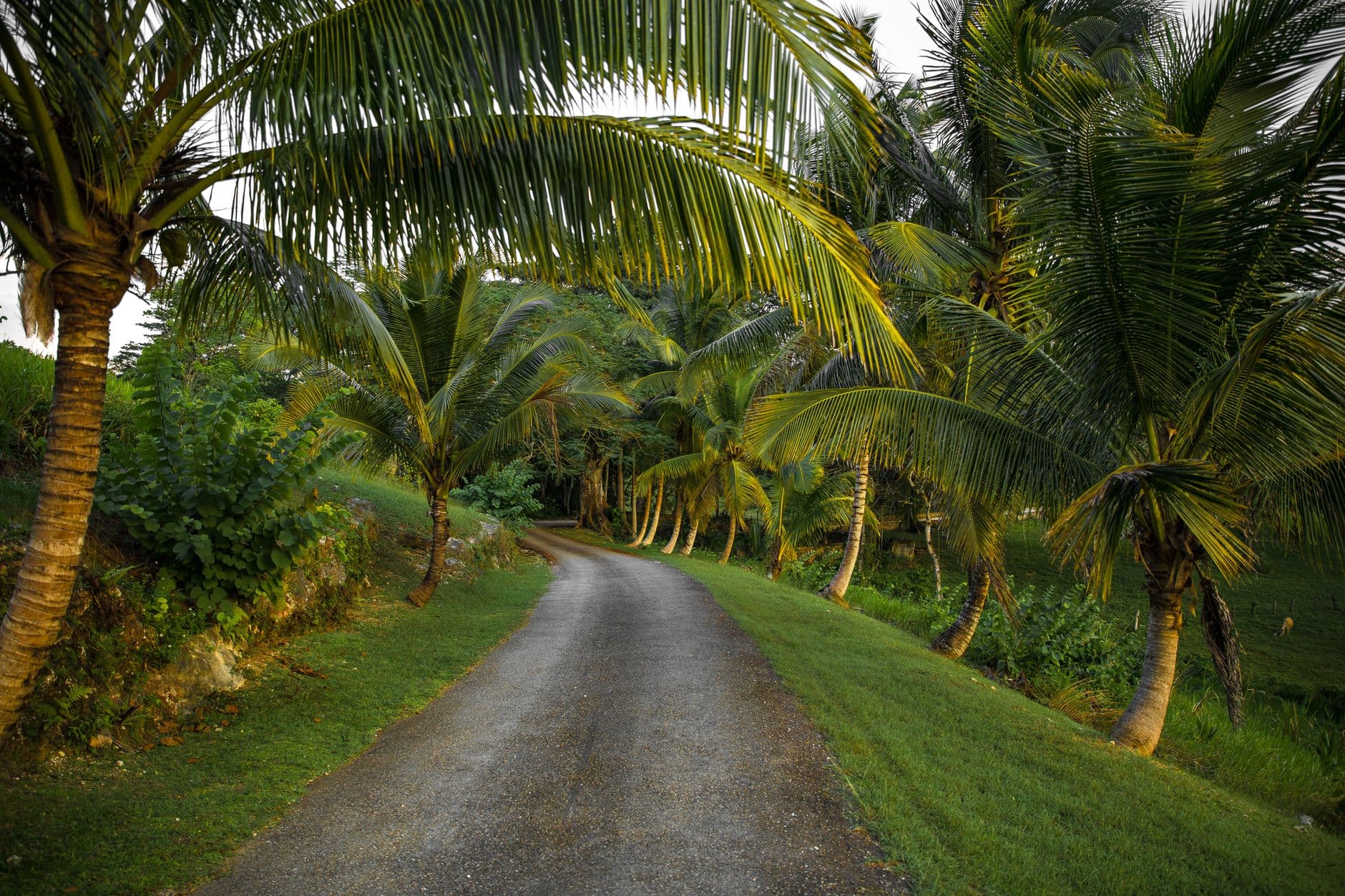 eSIM for Port Antonio — destination 1